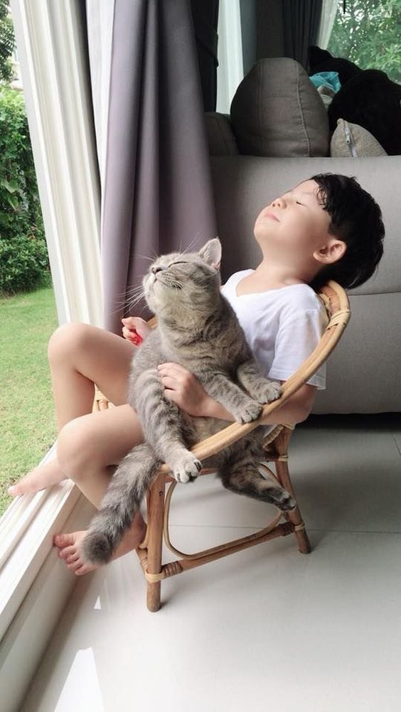 - Osortoo Photo contest uses app for picking up a winner